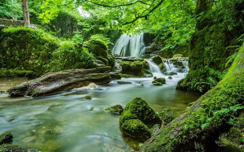 节能智能系统